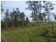 64 Nielsons Road, Good Night QLD 4671
