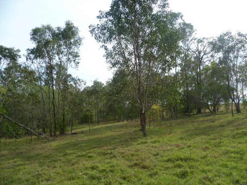 64 Nielsons Road, Good Night QLD 4671
