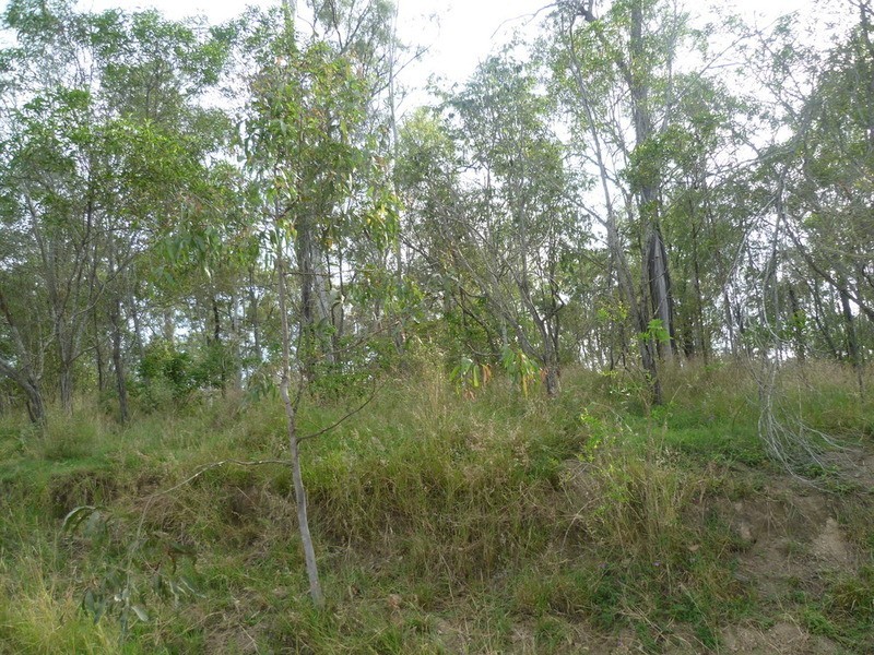 64 Nielsons Road, Good Night QLD 4671