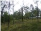 64 Nielsons Road, Good Night QLD 4671