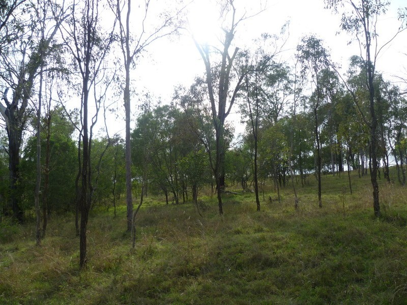 64 Nielsons Road, Good Night QLD 4671