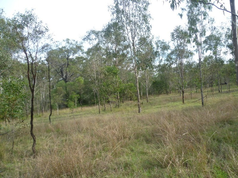 64 Nielsons Road, Good Night QLD 4671