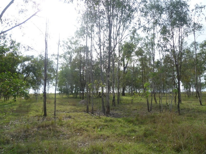 64 Nielsons Road, Good Night QLD 4671