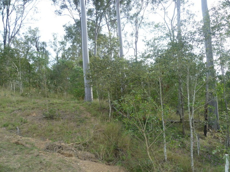 64 Nielsons Road, Good Night QLD 4671