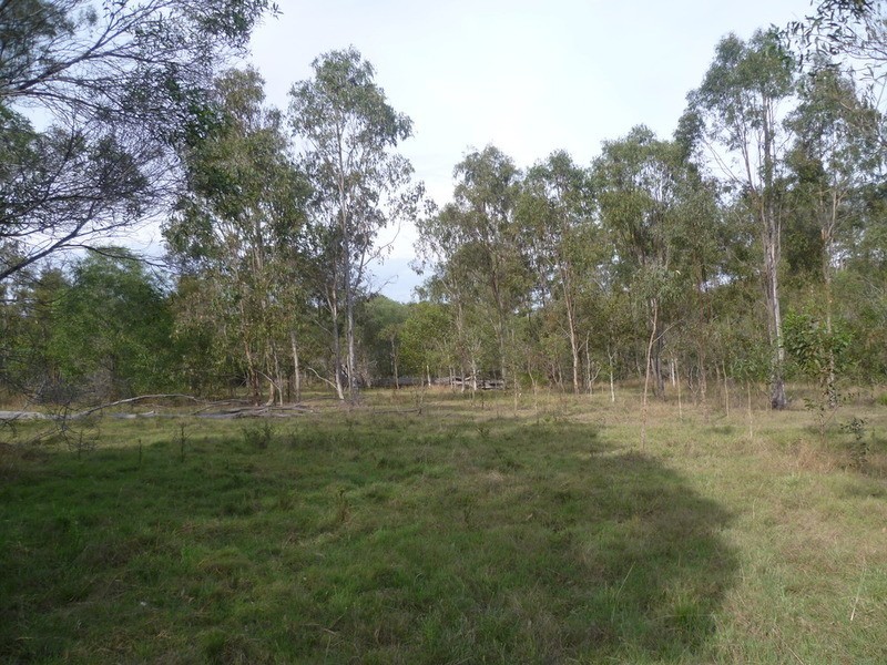 64 Nielsons Road, Good Night QLD 4671