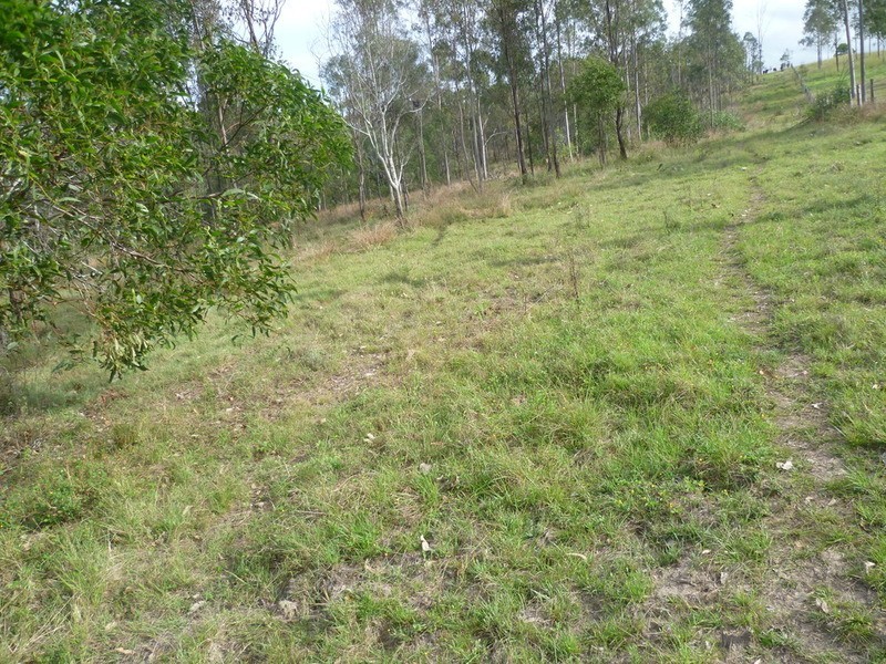 64 Nielsons Road, Good Night QLD 4671