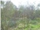64 Nielsons Road, Good Night QLD 4671