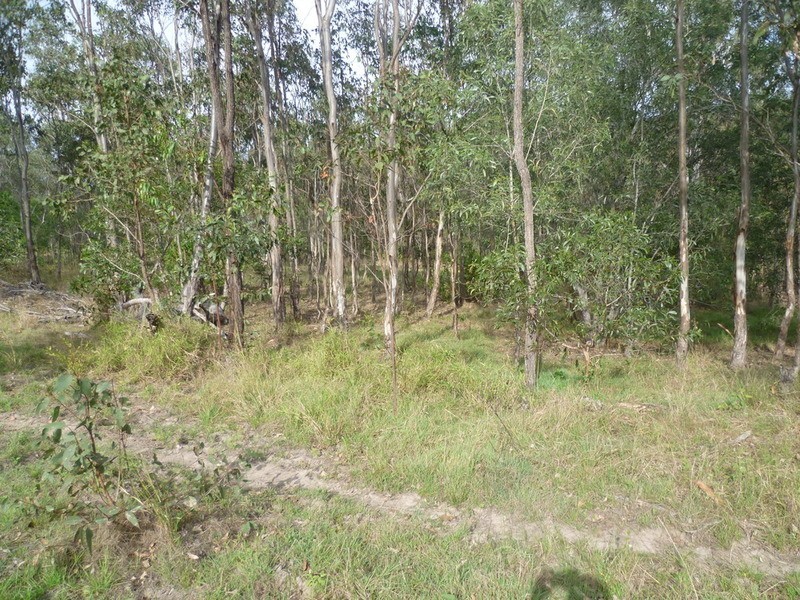 64 Nielsons Road, Good Night QLD 4671