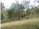 64 Nielsons Road, Good Night QLD 4671