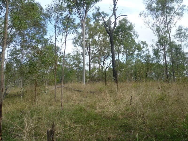 64 Nielsons Road, Good Night QLD 4671