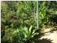 49 Stockyard Road, North Isis QLD 4660