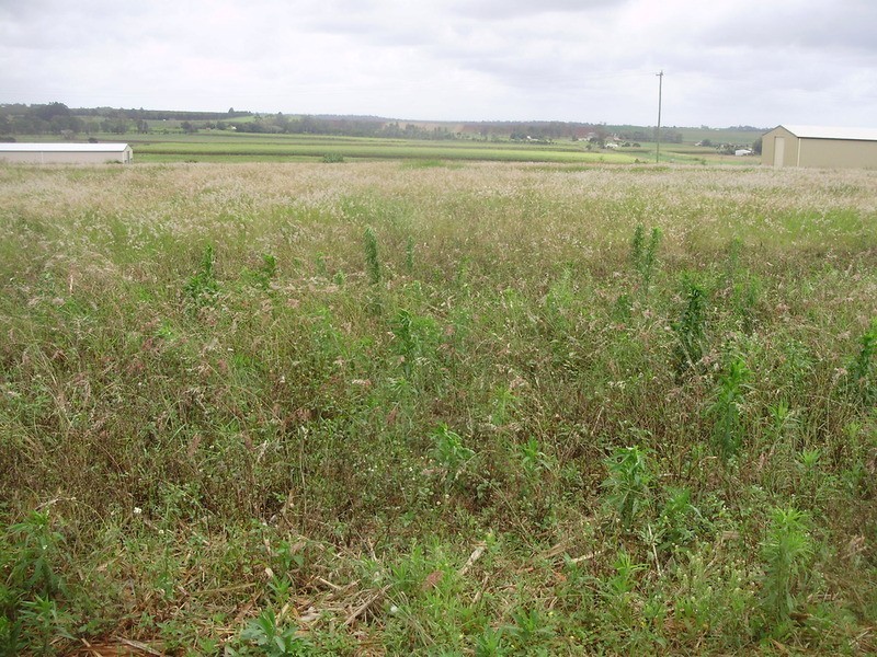 Lot 12 Wechsels Road, Doolbi QLD 4660