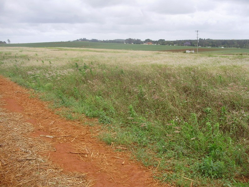 Lot 12 Wechsels Road, Doolbi QLD 4660