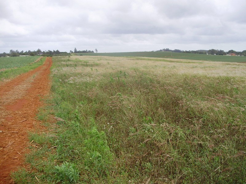 Lot 12 Wechsels Road, Doolbi QLD 4660