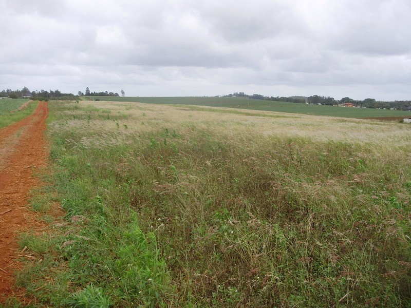 Lot 12 Wechsels Road, Doolbi QLD 4660