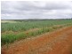Lot 12 Wechsels Road, Doolbi QLD 4660