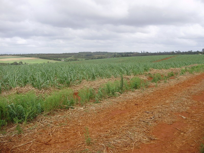 Lot 12 Wechsels Road, Doolbi QLD 4660