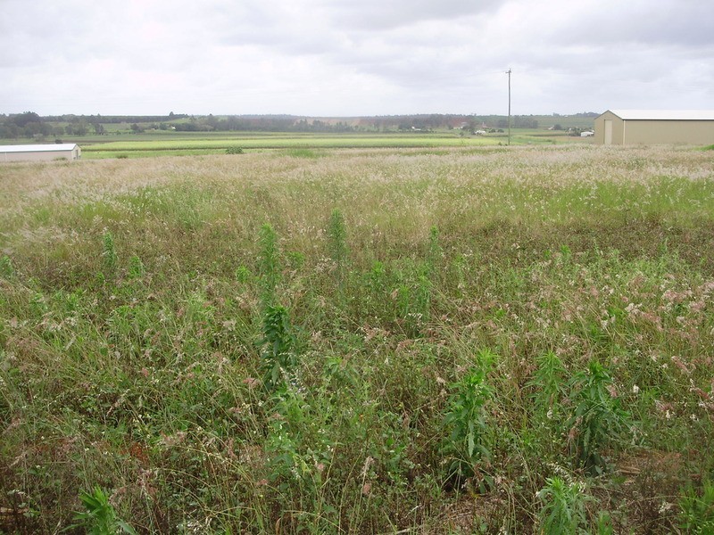 Lot 12 Wechsels Road, Doolbi QLD 4660
