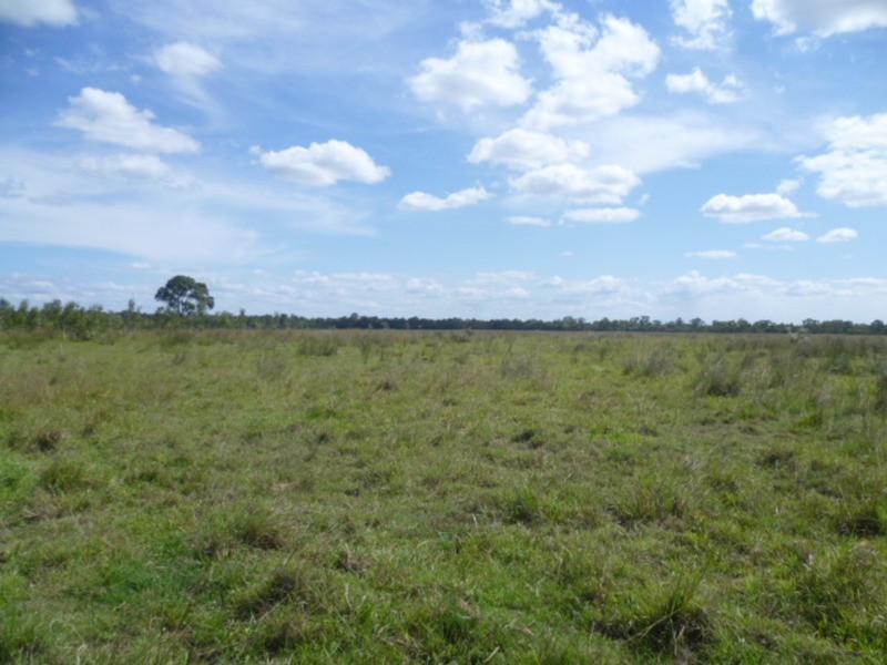 1473 Buxton Road, Buxton QLD 4660