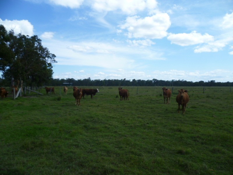 1473 Buxton Road, Buxton QLD 4660