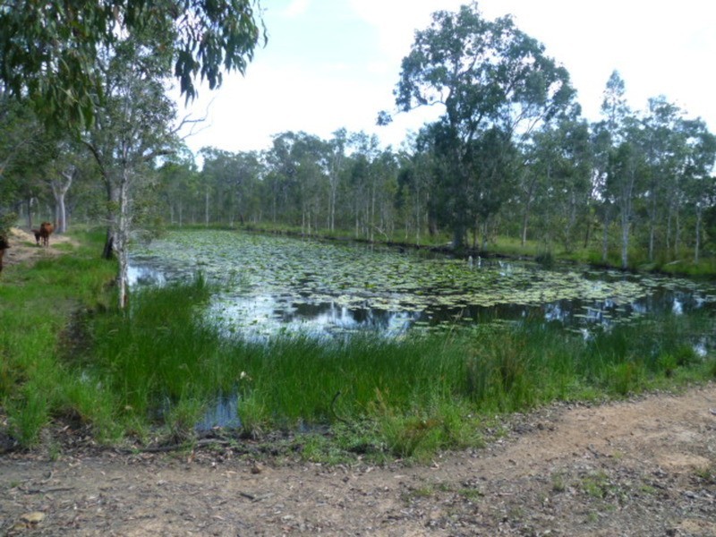 1473 Buxton Road, Buxton QLD 4660