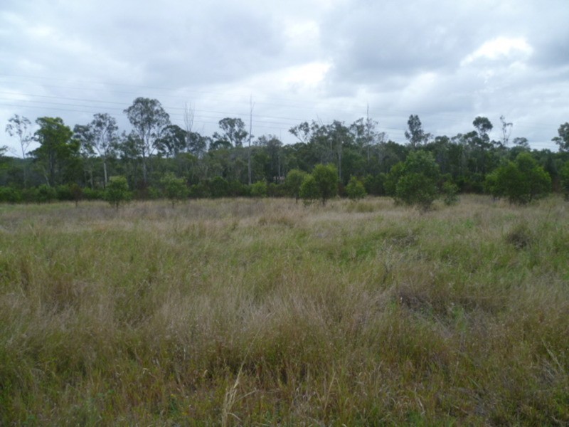 1473 Buxton Road, Buxton QLD 4660