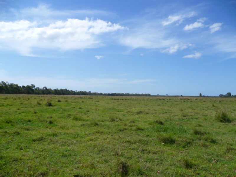 1473 Buxton Road, Buxton QLD 4660