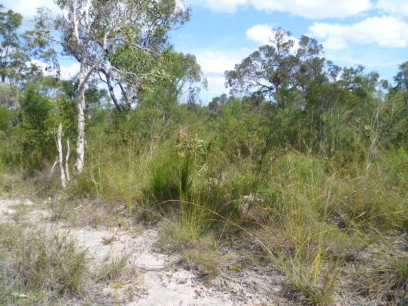 332 Pioneer Road, Buxton QLD 4660