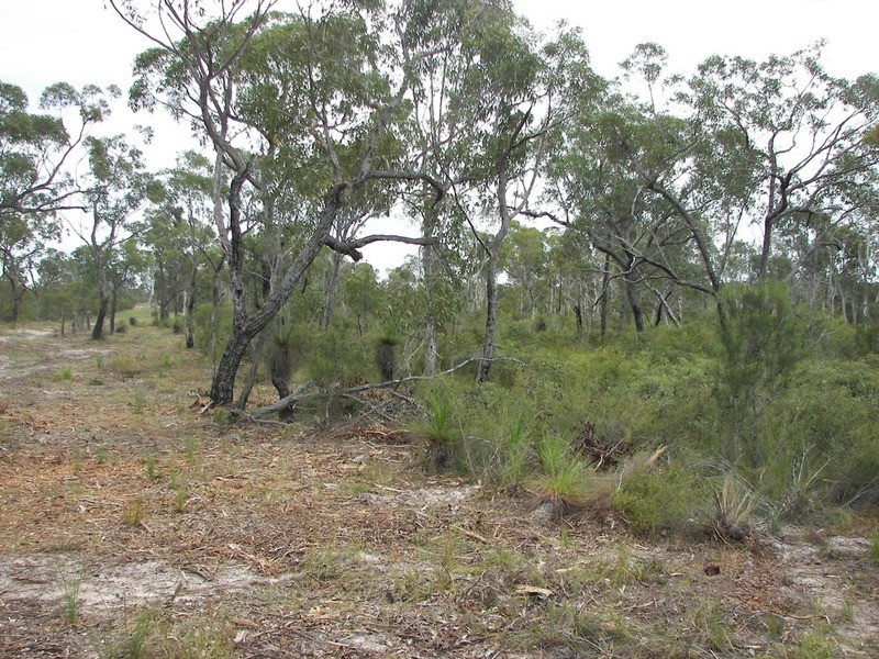 160 Pioneer Road, Buxton QLD 4660