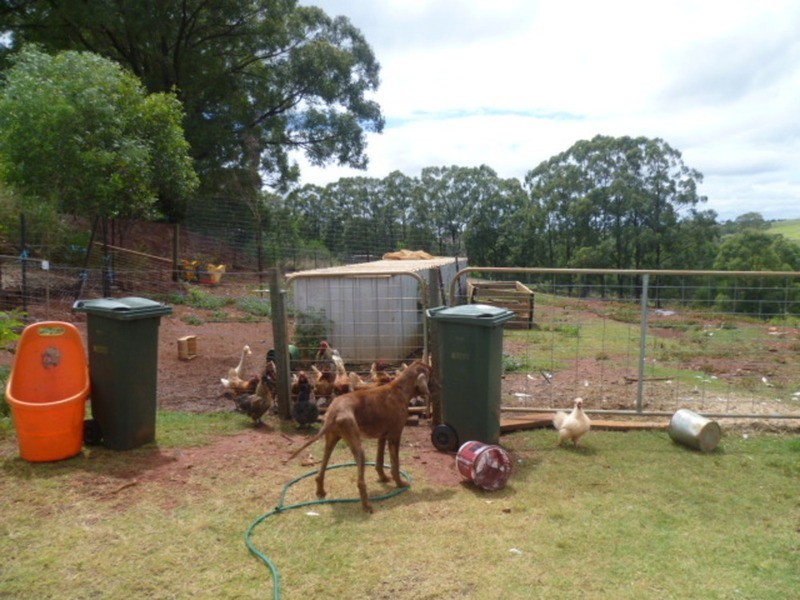 188 Old Creek Road, Childers QLD 4660