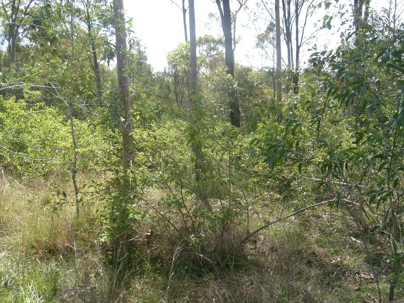 0 Sittella Crescent, Delan QLD 4671