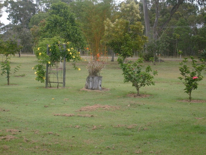 1480 Buxton Road, Buxton QLD 4660