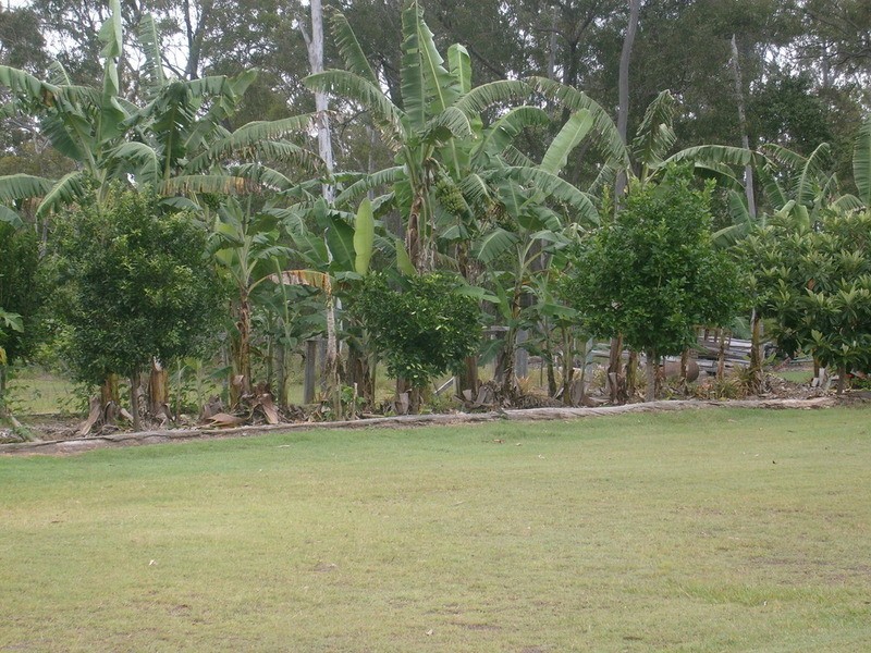 1480 Buxton Road, Buxton QLD 4660