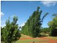 258 Atc Hall Road, North Isis QLD 4660