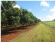 258 Atc Hall Road, North Isis QLD 4660