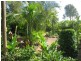 258 Atc Hall Road, North Isis QLD 4660