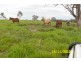 722 Railway Road, Booyal QLD 4671