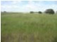 251 Farnsfield (Drain Road) Road, Childers QLD 4660