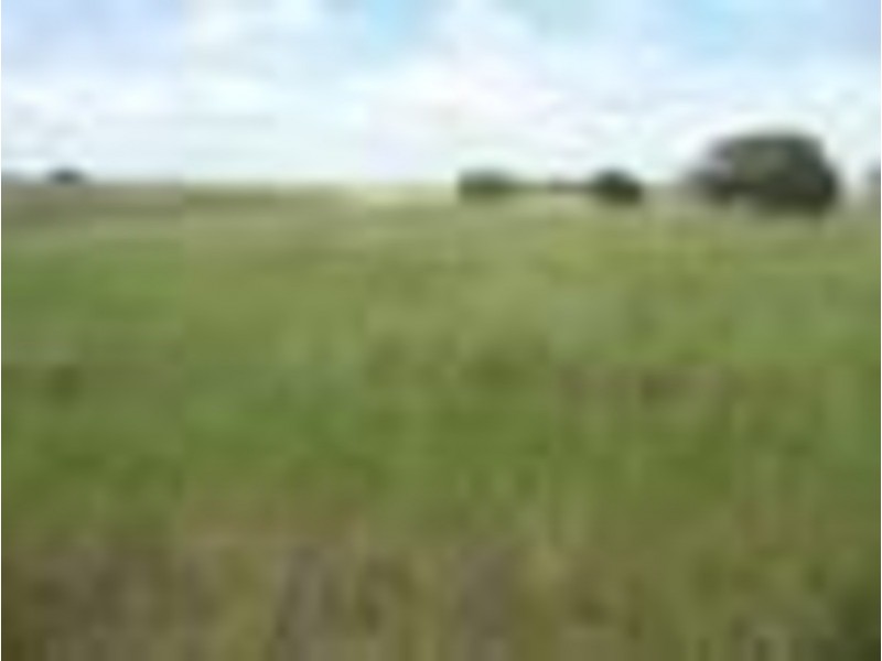 251 Farnsfield (Drain Road) Road, Childers QLD 4660