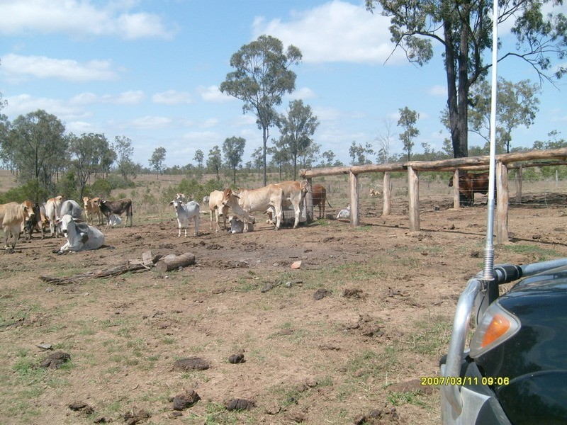 443 Railway Road, Booyal QLD 4671