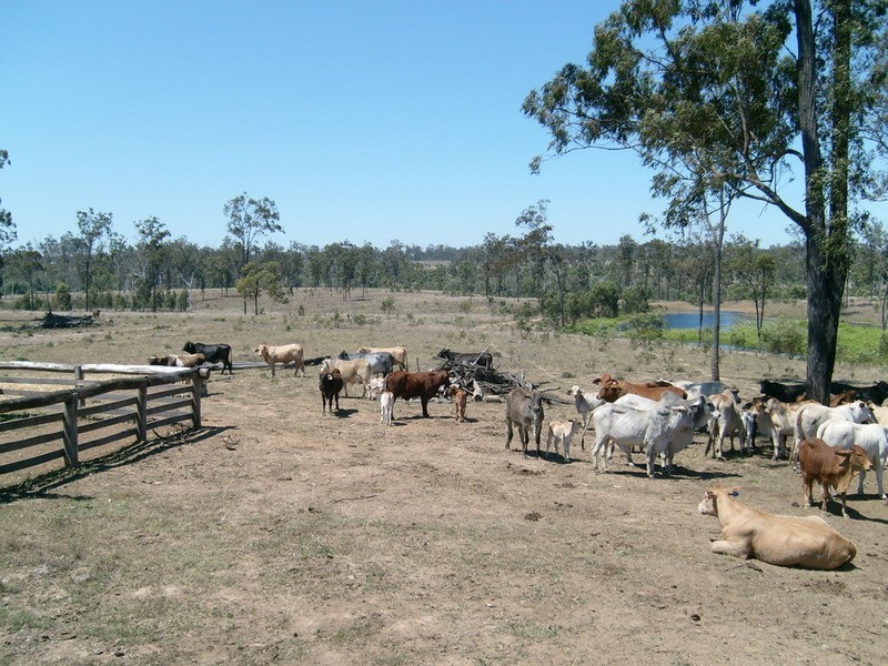 443 Railway Road, Booyal QLD 4671