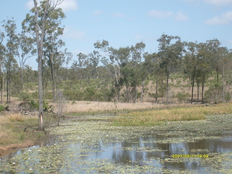 443 Railway Road, Booyal QLD 4671