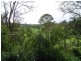 31 Rosenstet Lane, Apple Tree Creek QLD 4660