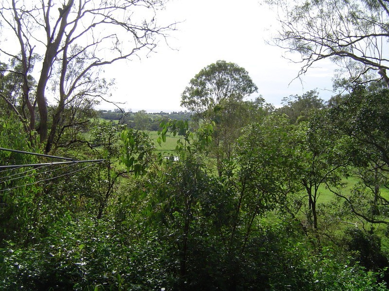 31 Rosenstet Lane, Apple Tree Creek QLD 4660