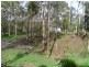 31 Rosenstet Lane, Apple Tree Creek QLD 4660
