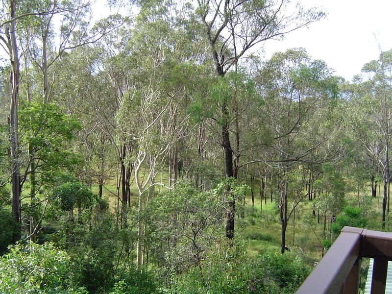 31 Rosenstet Lane, Apple Tree Creek QLD 4660