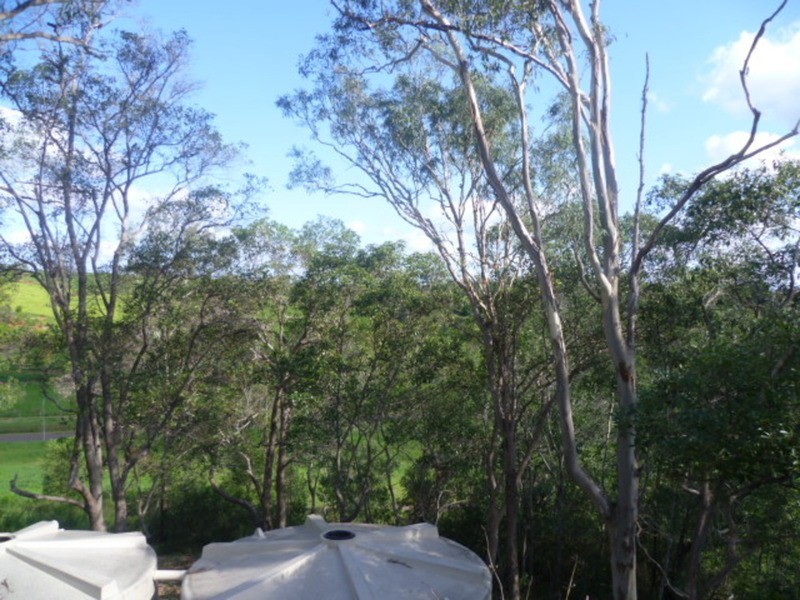 6 Sanctuary Court, Apple Tree Creek QLD 4660