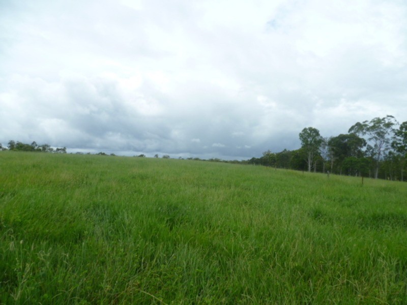 510 Promisedland Road, Promisedland QLD 4660
