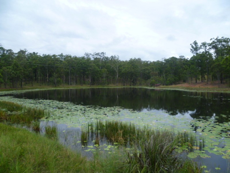 510 Promisedland Road, Promisedland QLD 4660