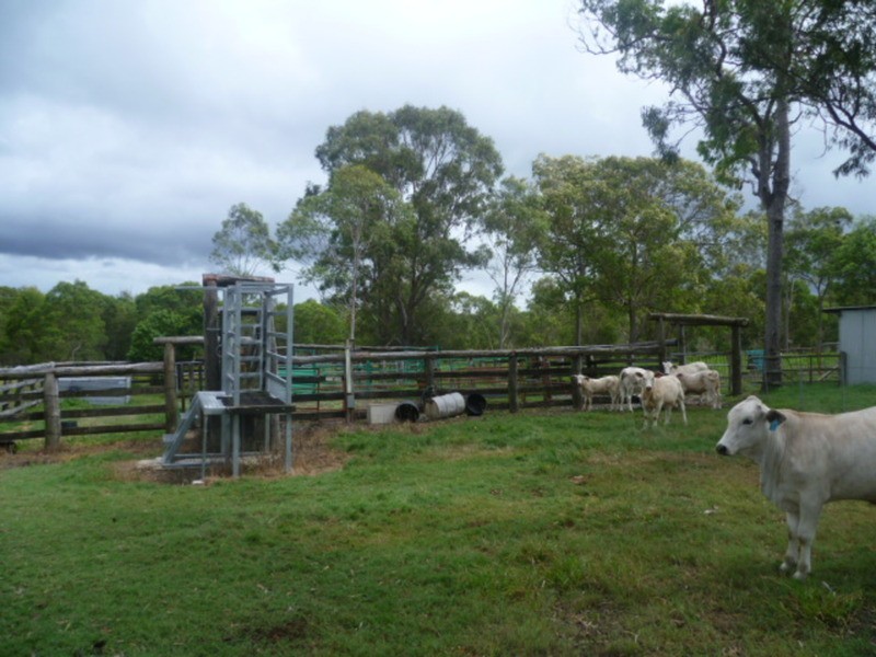 510 Promisedland Road, Promisedland QLD 4660